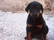 Kennels Facilities - Animal Zante - Zakynthos