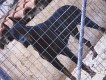 Kennels Facilities - Animal Zante - Zakynthos