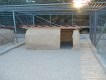 Kennels Facilities - Animal Zante - Zakynthos
