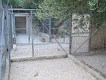 Kennels Facilities - Animal Zante - Zakynthos