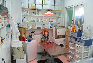 Κτηνιατρείο - Animal Zante